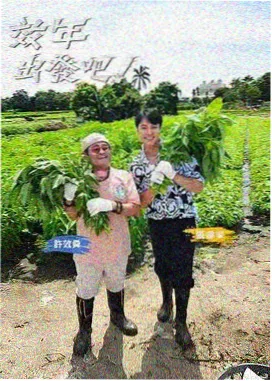 葬送的芙莉莲 秋霞电影手机网